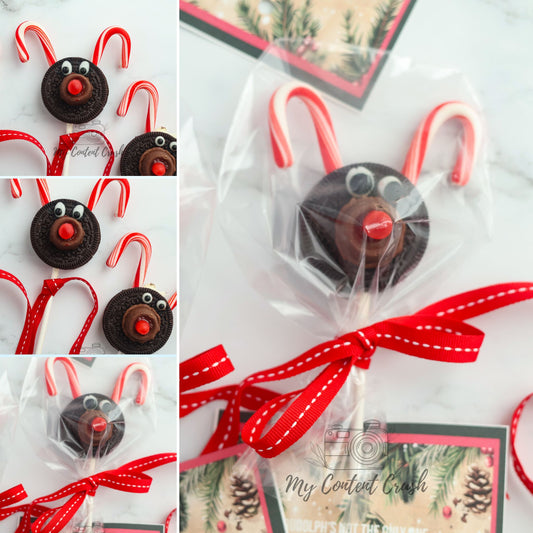 Reindeer Holiday Craft Treat Set 2