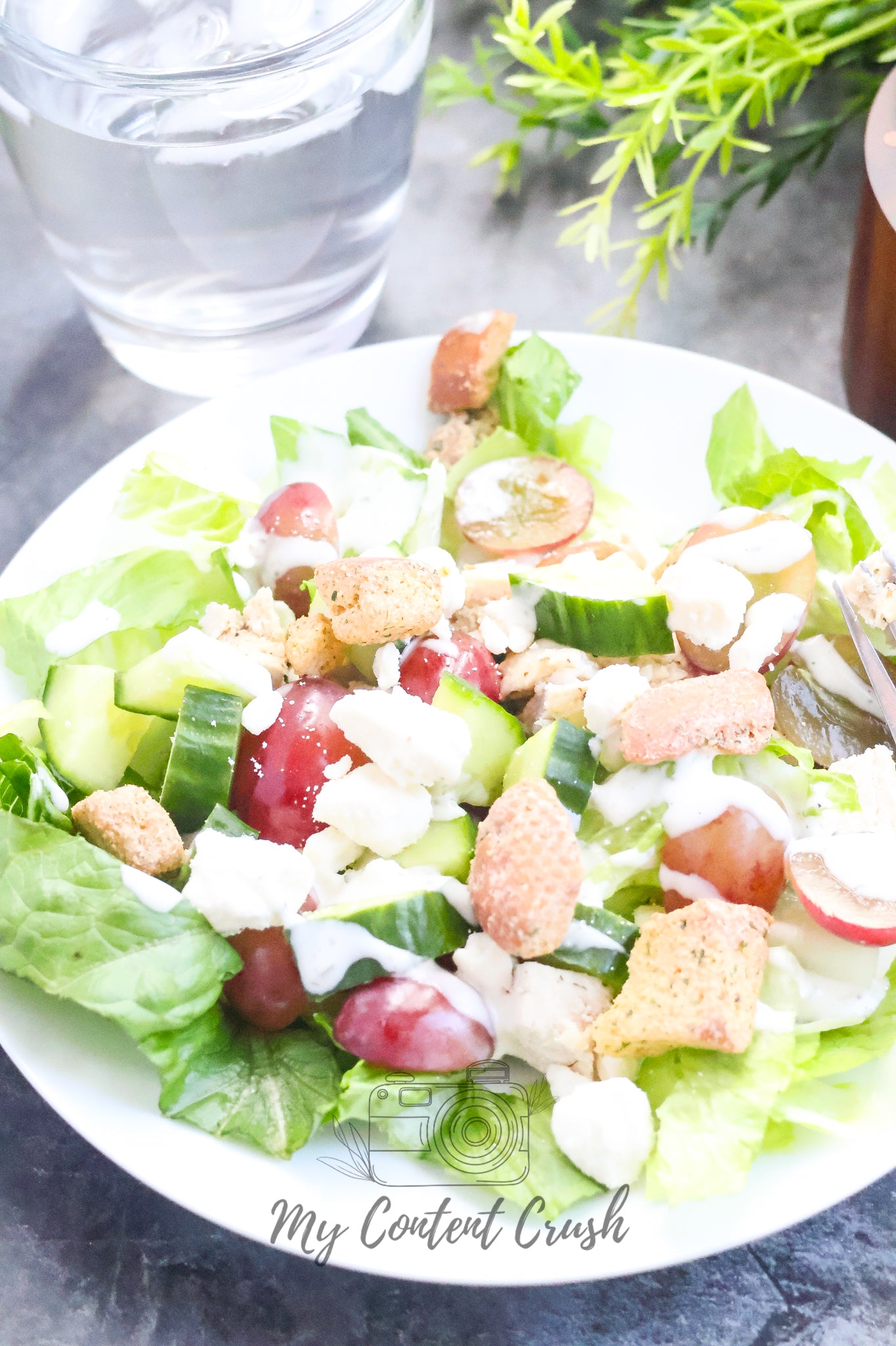 Chicken Salad with Cucumbers and Grapes Set 1