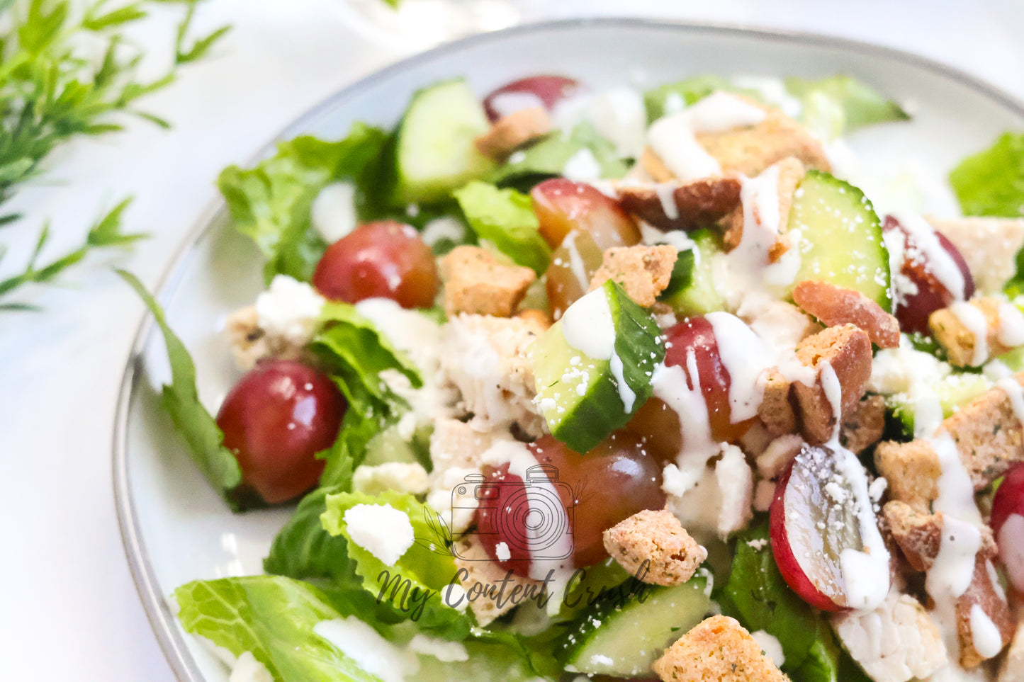 Chicken Salad with Cucumbers and Grapes Set 2