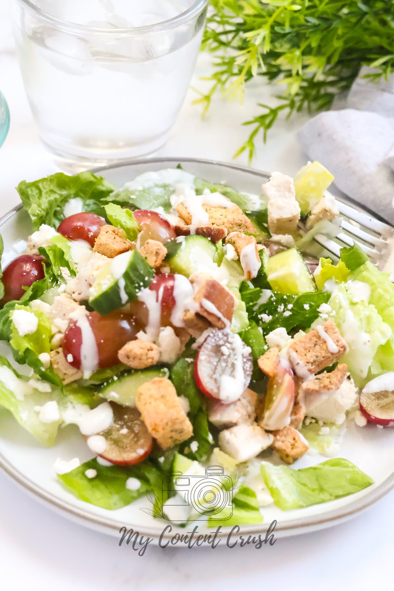 Chicken Salad with Cucumbers and Grapes Set 2