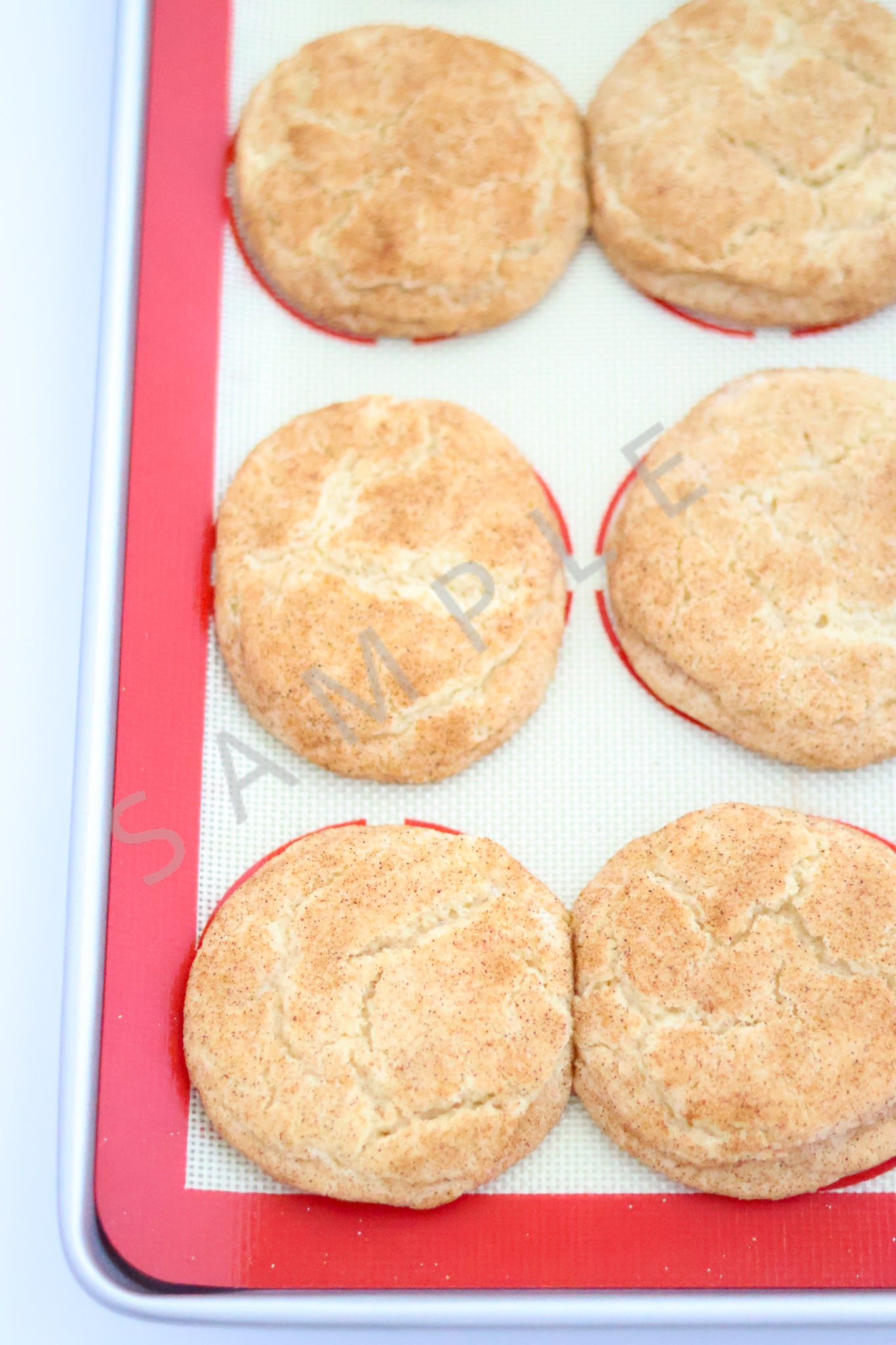 Snickerdoodle Cookies Set 4