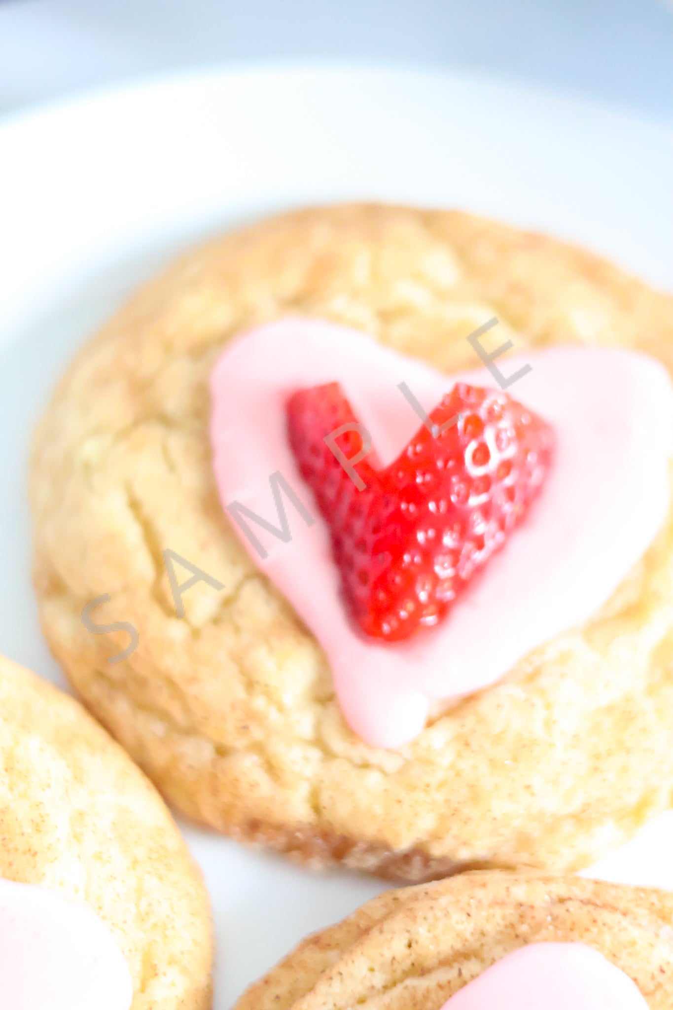 Snickerdoodle Cookies Set 1