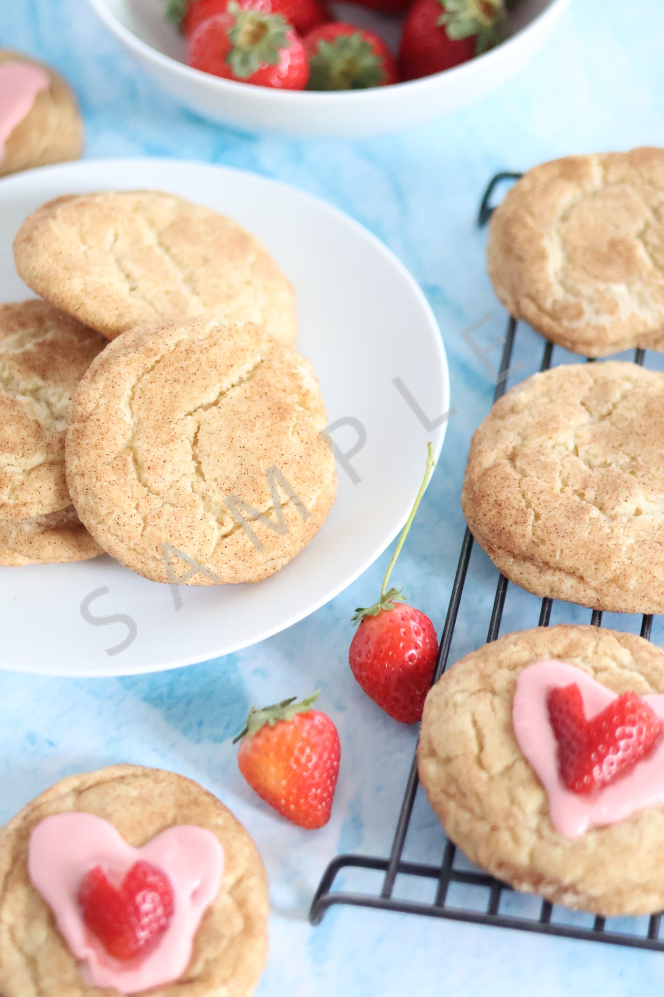 Snickerdoodle Cookies Set 1