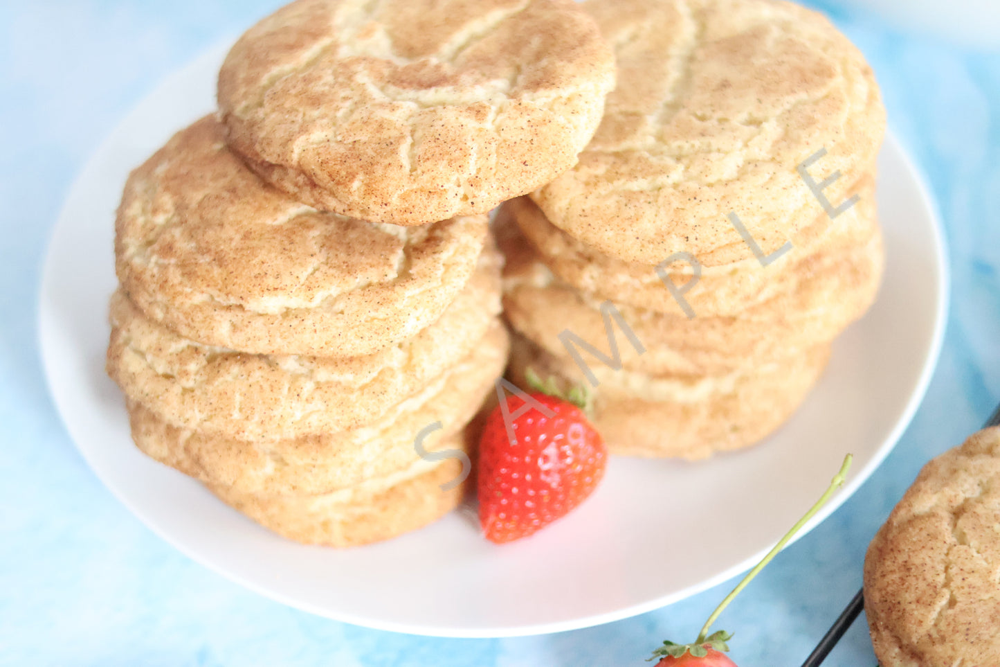 Snickerdoodle Cookies Set 1