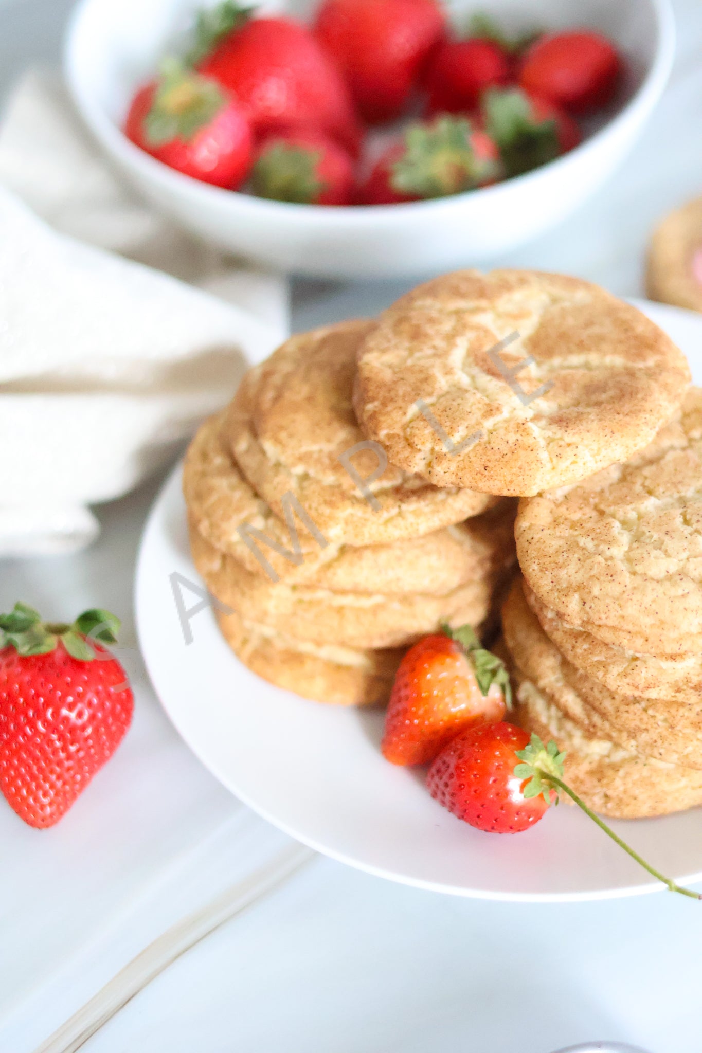 Snickerdoodle Cookies Set 4