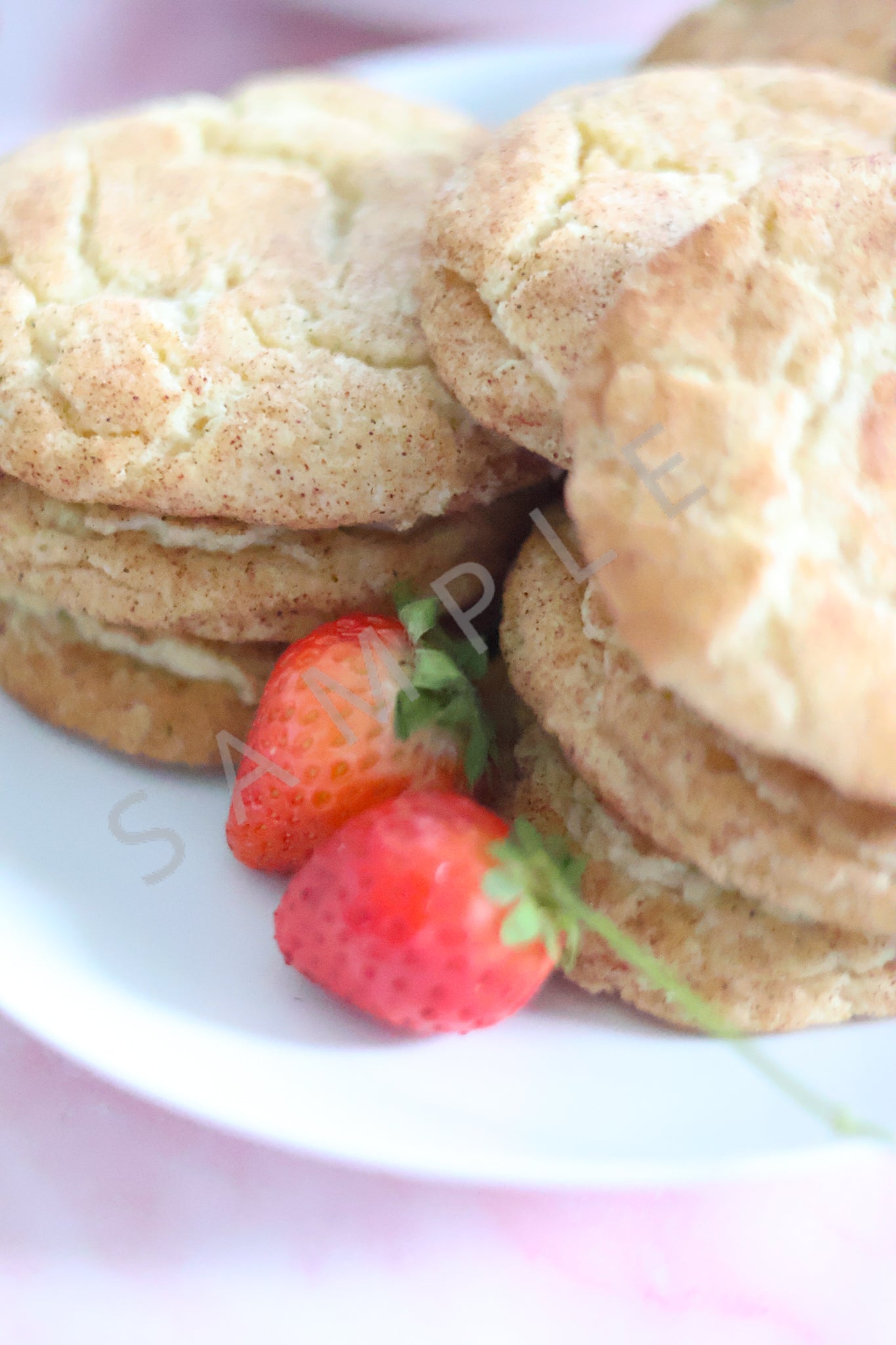 Snickerdoodle Cookies Set 2