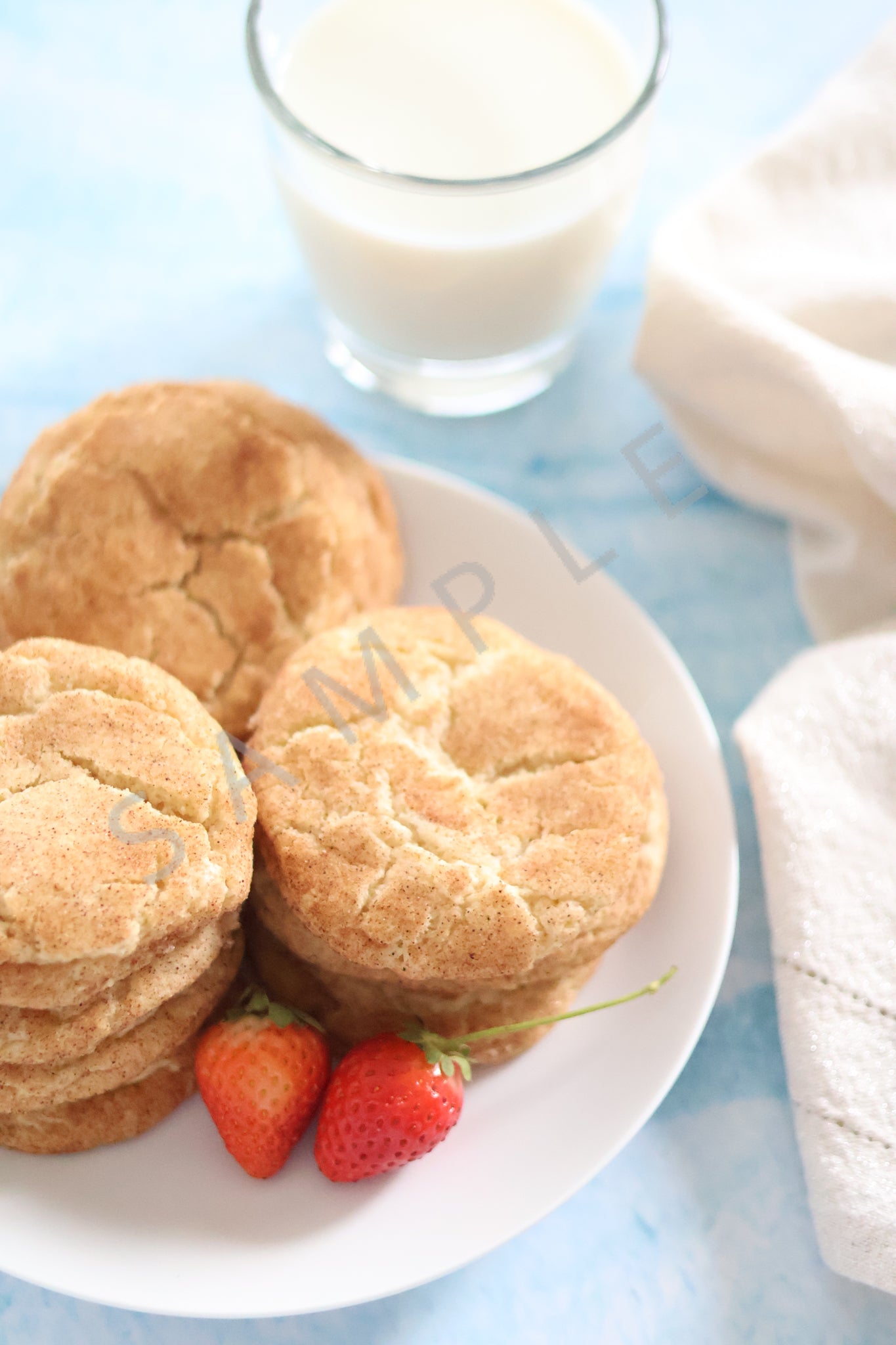 Snickerdoodle Cookies Set 1